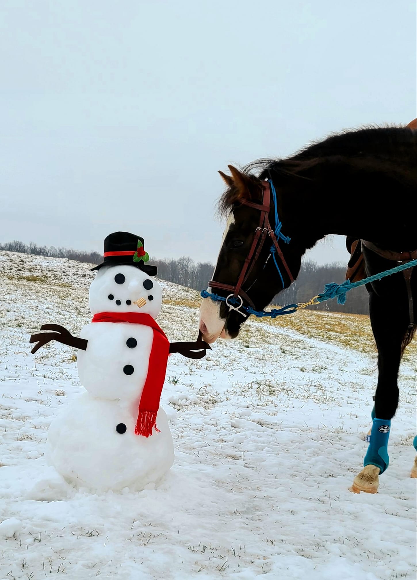 Horse Snowman